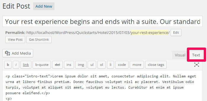 activating text mode in the wordpress post edit screen