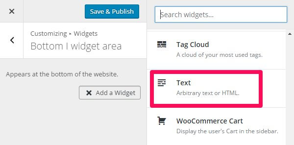 choosing a text widget in the wordpress customizer