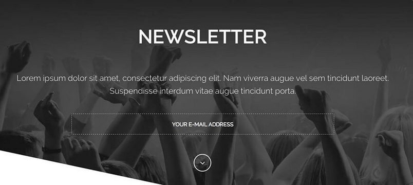 How to implement a newsletter plugin with our WordPress themes