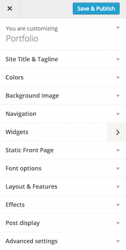 portfolio theme customizer