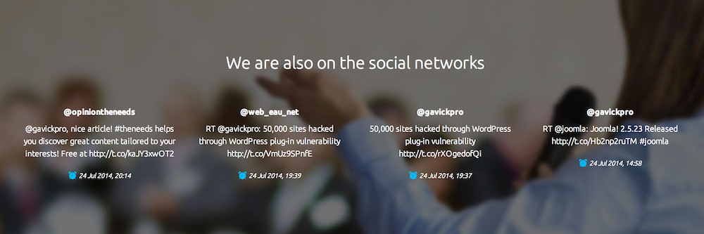 The Social Network Section
