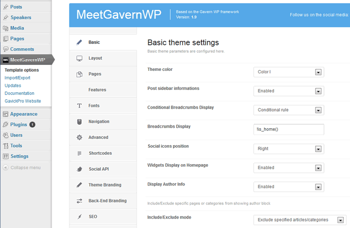  GavernWP framework options