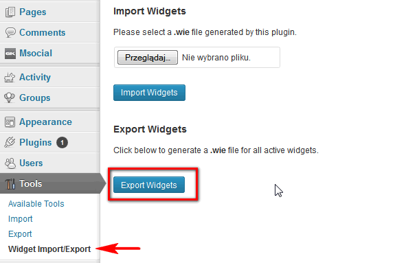 export-wigdets-wordpress