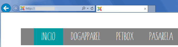 Fonts should work also under IE browser