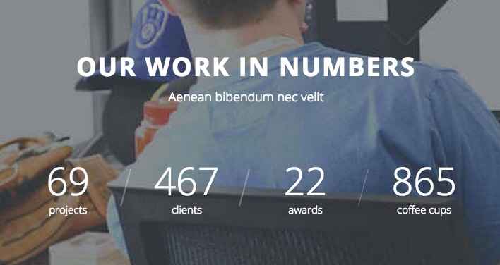 Our Team - Work in numbers