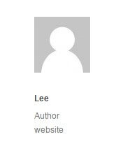 links to the wordpress post author website under their avatar